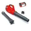 WOLF-Garten Power 24 B Set 72V Li-Ion Accu Bladblazer Set (1x 72V) - 240km/h - 41AA0BN-650