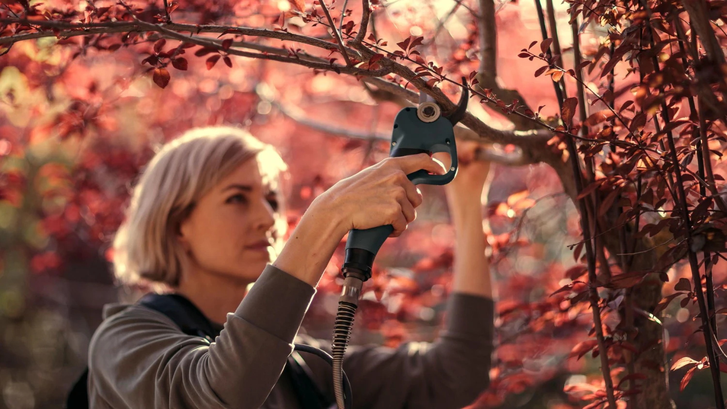 Cramer 82P 82V Li-Ion Accu Snoeischaar Body - 40 Mm - Koolborstelloos - Afbeelding 2