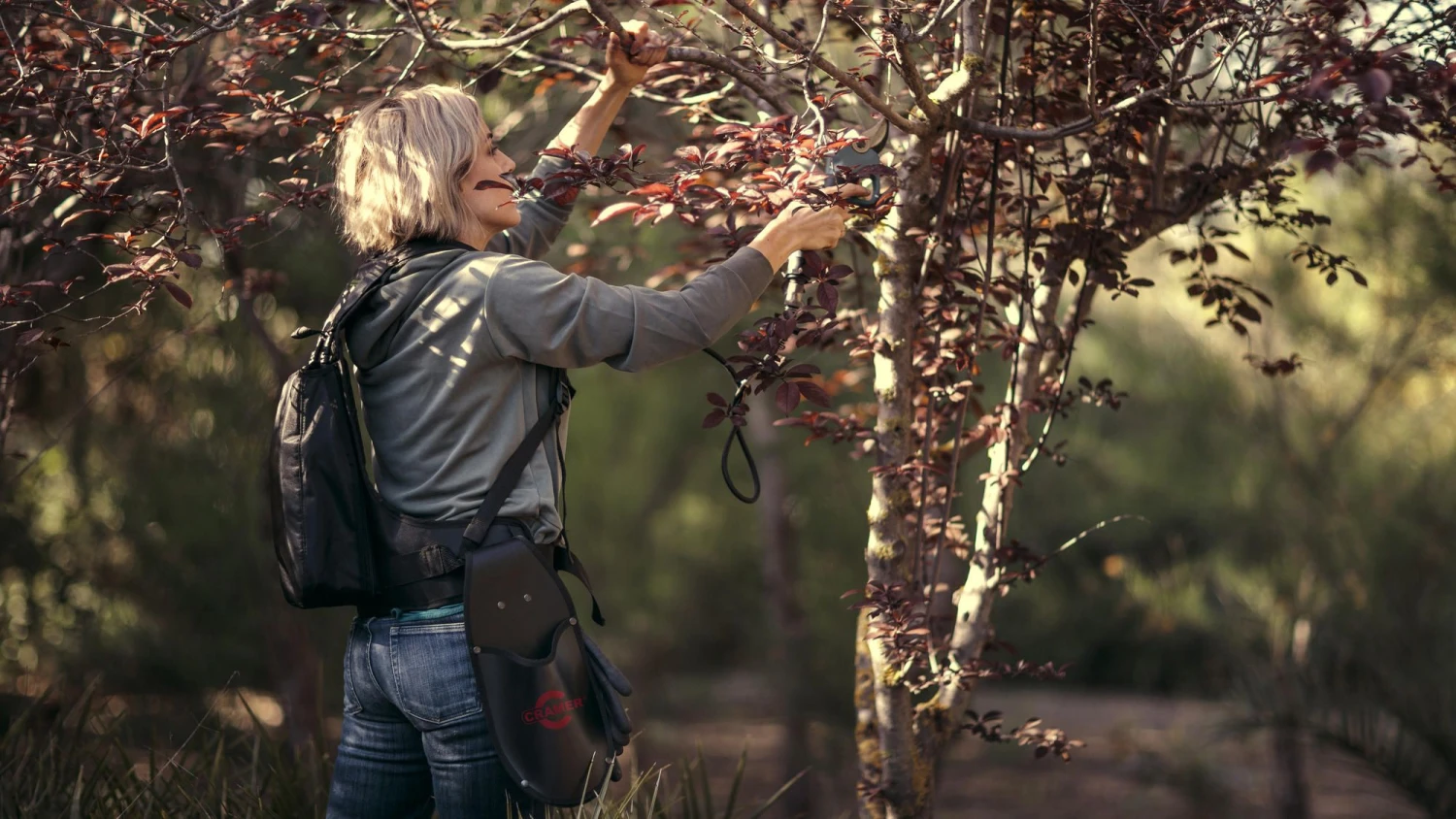 Cramer 82P 82V Li-Ion Accu Snoeischaar Body - 40 Mm - Koolborstelloos - Afbeelding 3