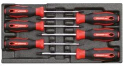 Gedore RED R22150015 6-delige Schroevendraaierset - Torx